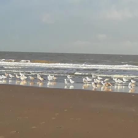 Little Beach House - Free Parking Vakantiehuis Zandvoort